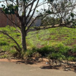 Terreno com 275 m2 , á venda no Terras Di Treviso