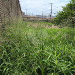 Terreno no Jardim Pacaembú