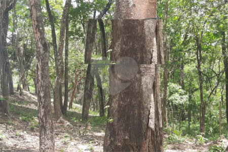 Terreno de 3.150m². Região de Chácaras no Jardim Estancia Brasil, Atibaia, SP