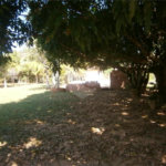 Chácara para venda no Aracê de Santo Antonio I