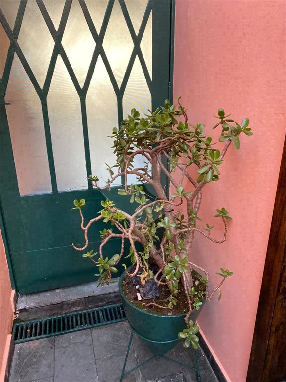 Casa a venda na Mooca