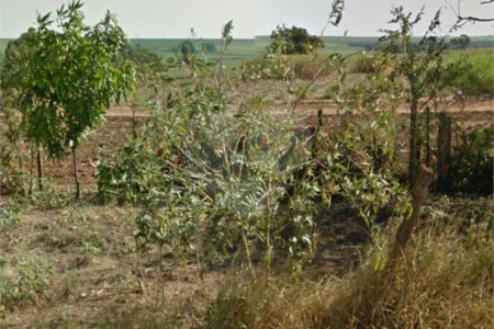 Área rural em Ibaté