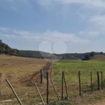 VENDA SÍTIO 48 hectares com estruura para granja, hidroponia e gado