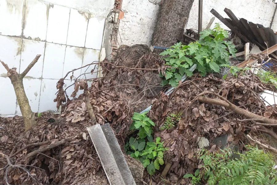 Terreno de 230 m² no Jardim Prudência