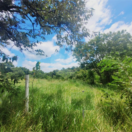 Lote à Venda – Oportunidade! 1.000 m² – Recanto Campestre Internacional de Viracopos (Gleba 4) – Indaiatuba/SP
