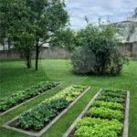 Chácara à venda com 3 quartos, sendo 1 suíte, em Bosque, Vinhedo, SP