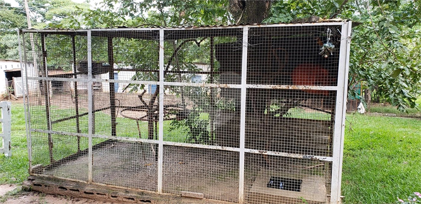 Sitio para venda.