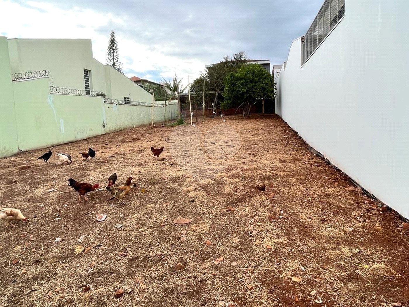 Oportunidade Única no Jardim Cardinalli – Terreno em Localização Privilegiada.