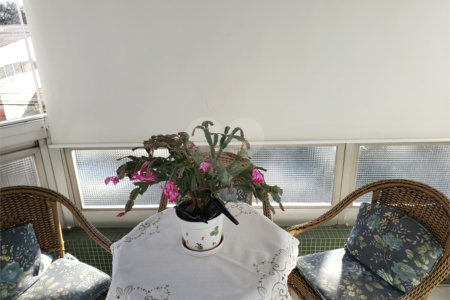 Apartamento á venda - Jabaquara