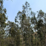 Terreno a venda no Bairro da Cachoeira em Atibaia
