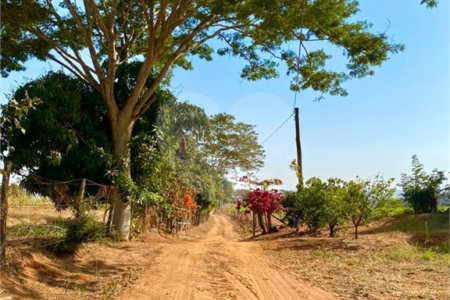 Sítio na cidade de Taiuva-SP.