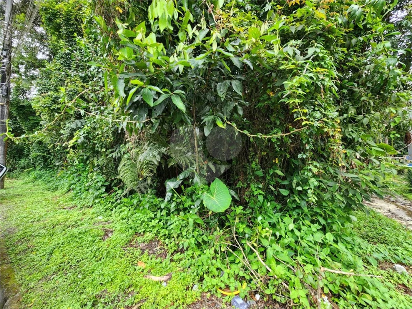 Terreno à venda em Riviera de São Lourenço, Bertioga, SP