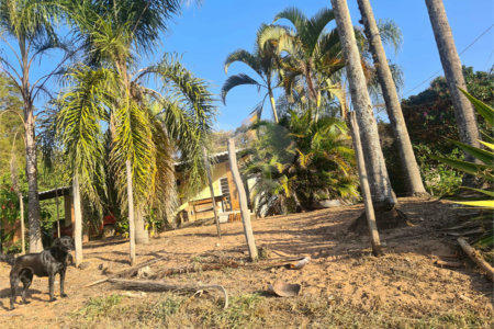 VENDA SÍTIO 48 hectares com estruura para granja, hidroponia e gado