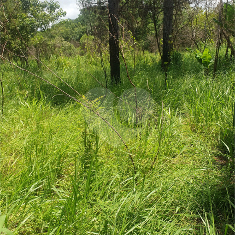 terreno a venda vila moraes - Mogi das Cruzes - SP