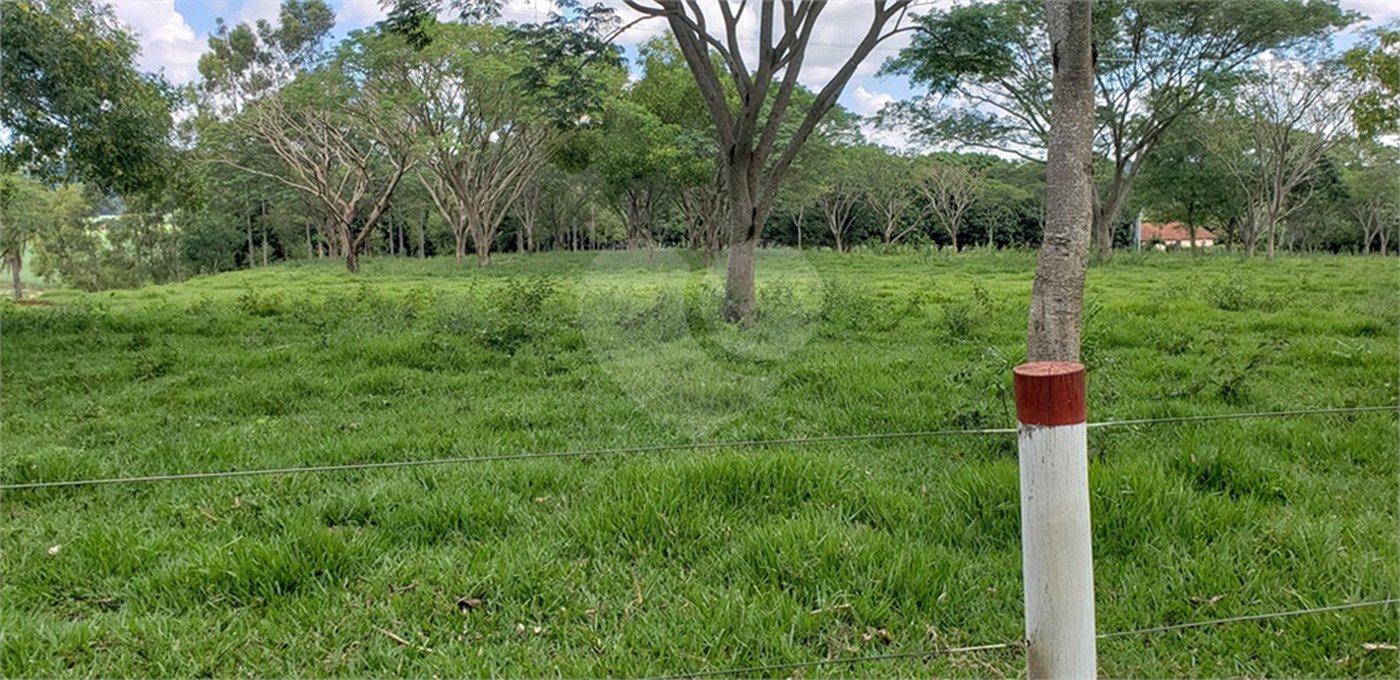 Sitio para venda.