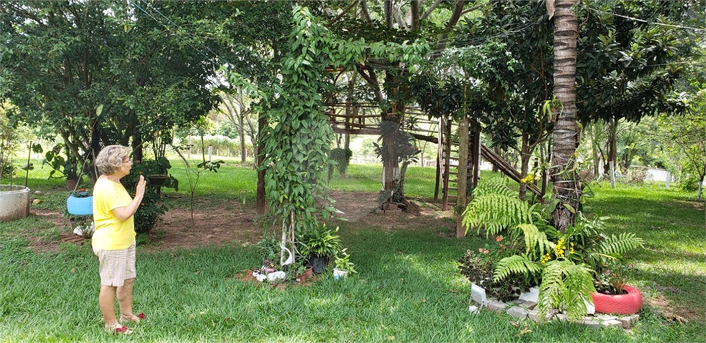 Sitio para venda.