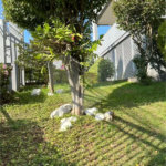 Apartamento de 2 quartos à venda na Penha
