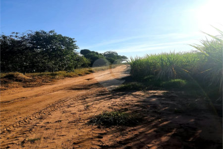 Fazenda em Ribeirão Bonito