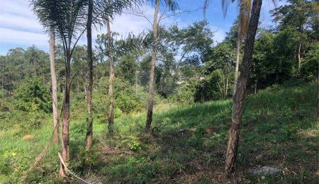 Terreno à venda no Centro, Bom Jesus dos Perdões, SP