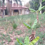Chácara para venda no Aracê de Santo Antonio I