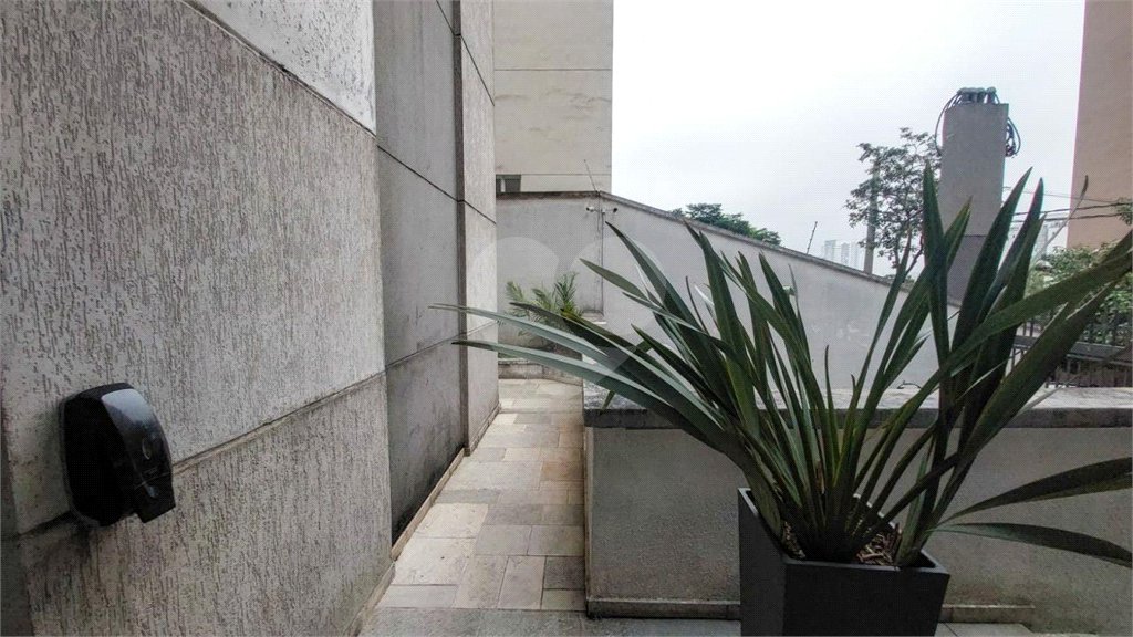 Apartamento à venda com 2 quartos em Vila Mascote, São Paulo, SP