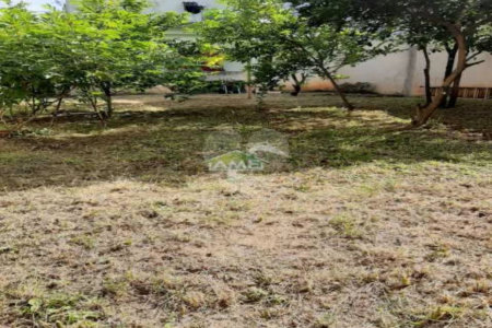 casa com 1 quarto e amplo quintal 135m² em Campo Grande, Estrada do Tingui