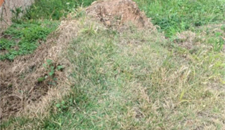 Terreno à venda com 1 suíte no condomínio Picollo Villaggio, Louveira - SP