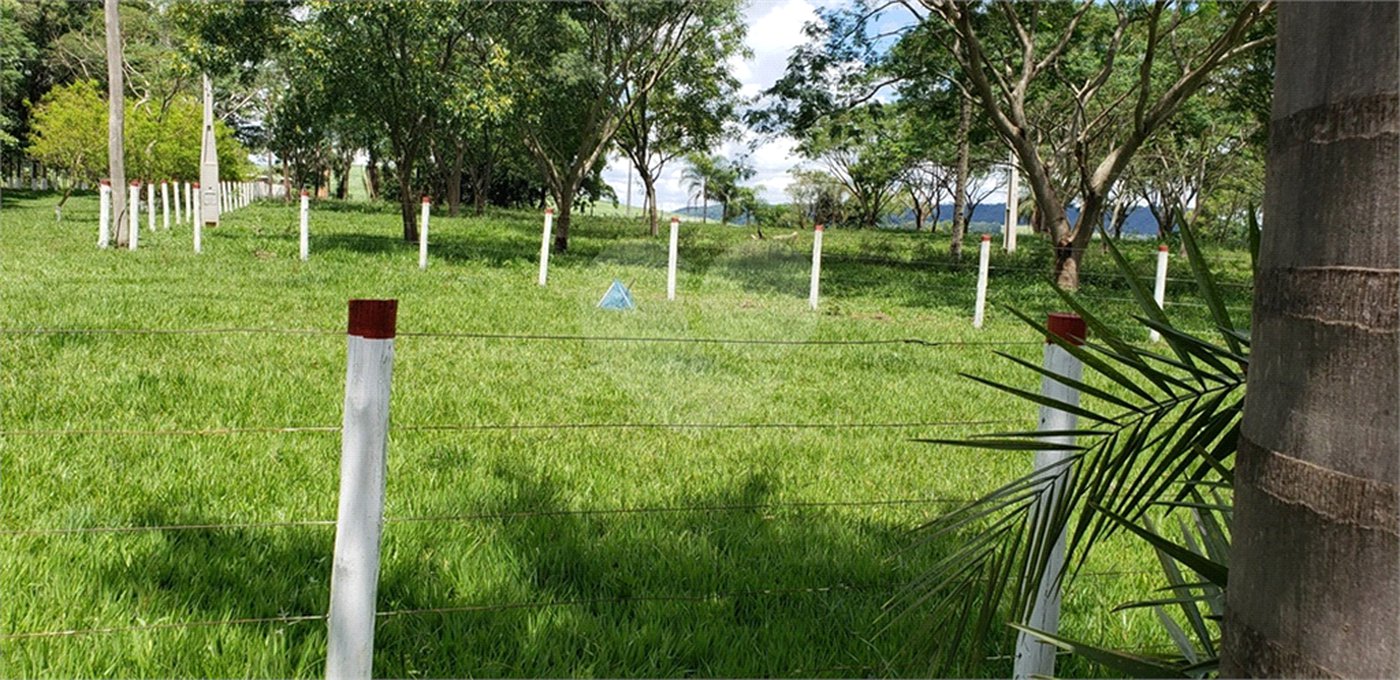 Sitio para venda.