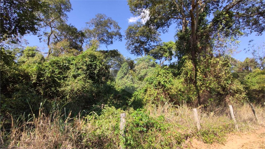 SITIO PARA VENDA COM 13.637 M² EM ARARAQUARA/SP.
