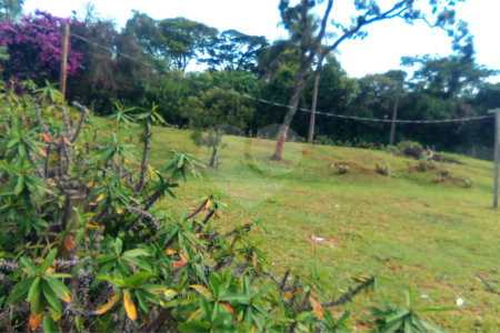 Terreno em Água Vermelha