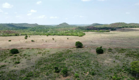 Fazenda à venda em Zona Rural, Balsas, MA