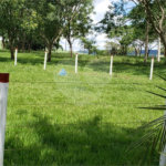 Sitio para venda.