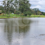 Loteamento Residencial no Condomínio Vila Pinhal do Broa