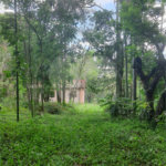 Chácara - São Carlos