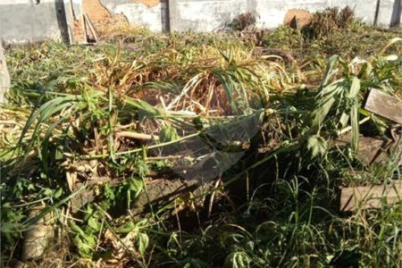 Terreno com 942,00 m² .