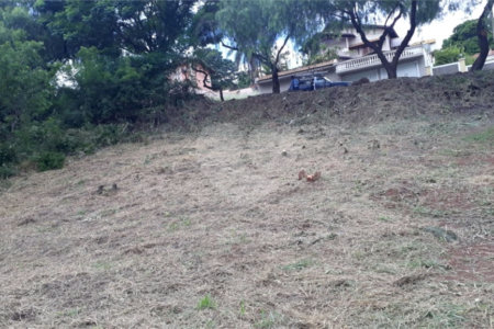 Terreno com 453,50 m² de área total.