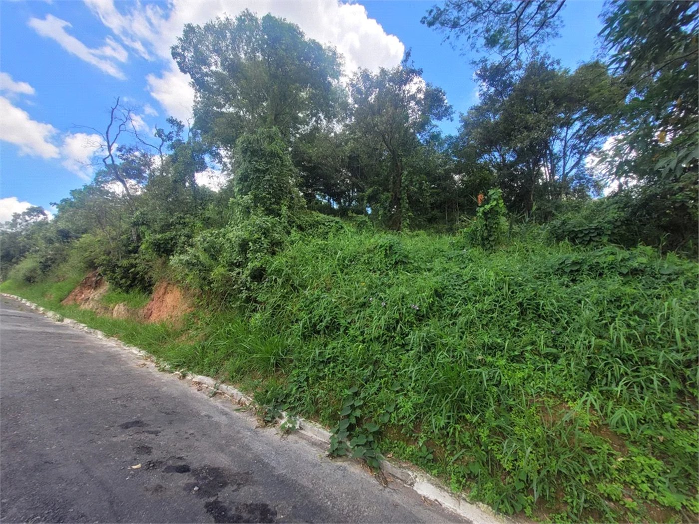Oportunidade exclusiva em Cotia. Terreno amplo com 725 metros quadrados