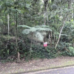 Terreno à venda no condomínio Alpes da Cantareira, Mairiporã - SP