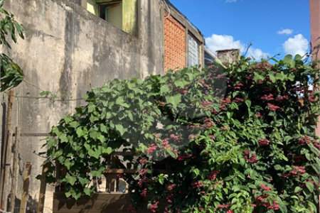 Terreno plano, no bairro Parque Sisi, com 125,00 m² de área.