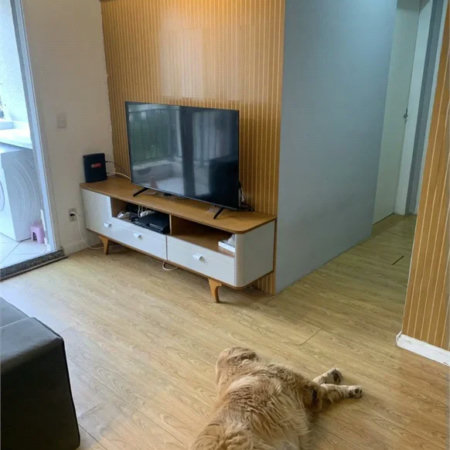 Apartamento à venda com 1 quarto em Parque Reboucas, São Paulo, SP