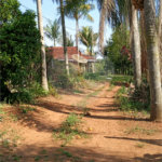 Ribeirão Grande - Bairro ferreira dos Matos - Sítio de 30.000 metros - R$ 600.000,00