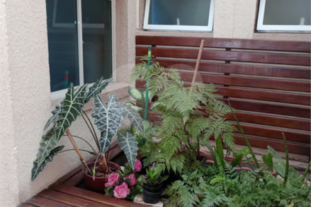 APARTAMENTO A VENDA COM 56M², 2 DORMITORIOS, 1 BANHEIRO, 1 VAGA, CONDOMINIO VILA BELA, SÃO JOSÉ DOS