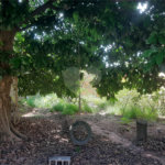 Casa Térrea- Vila Costa Do Sol