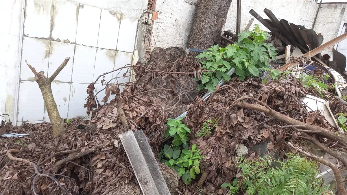 Terreno de 230 m² no Jardim Prudência
