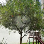 Apartamento à Venda no Itaim Bibi com Infraestrutura Completa de Lazer