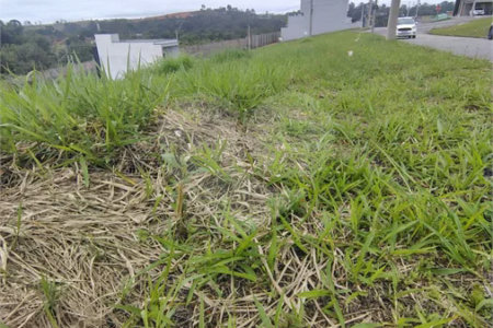 LOTE À VENDA NO PARADISE GARDENS DE 176 M² -Porteira preta/SP