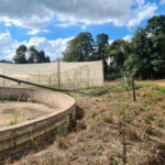 VENDA SÍTIO 48 hectares com estruura para granja, hidroponia e gado