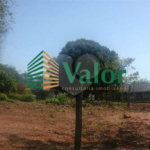 Sítio Estrada São Carlos Ribeirão - próximo São Carlos