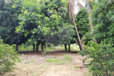 Sitio para venda.