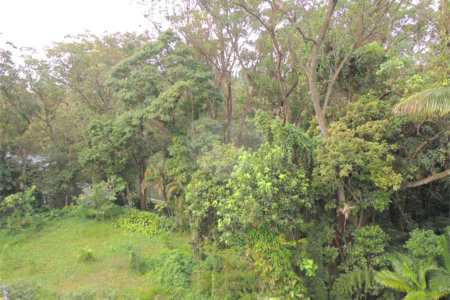 Casa à venda com 3 suítes no condomínio Jardim Flora, São Paulo - SP